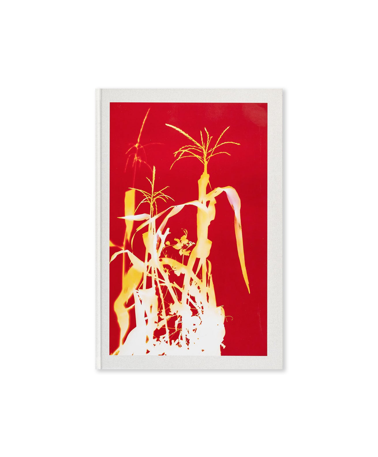 Hendrik Zeitler - 1:1 Hammarkullen