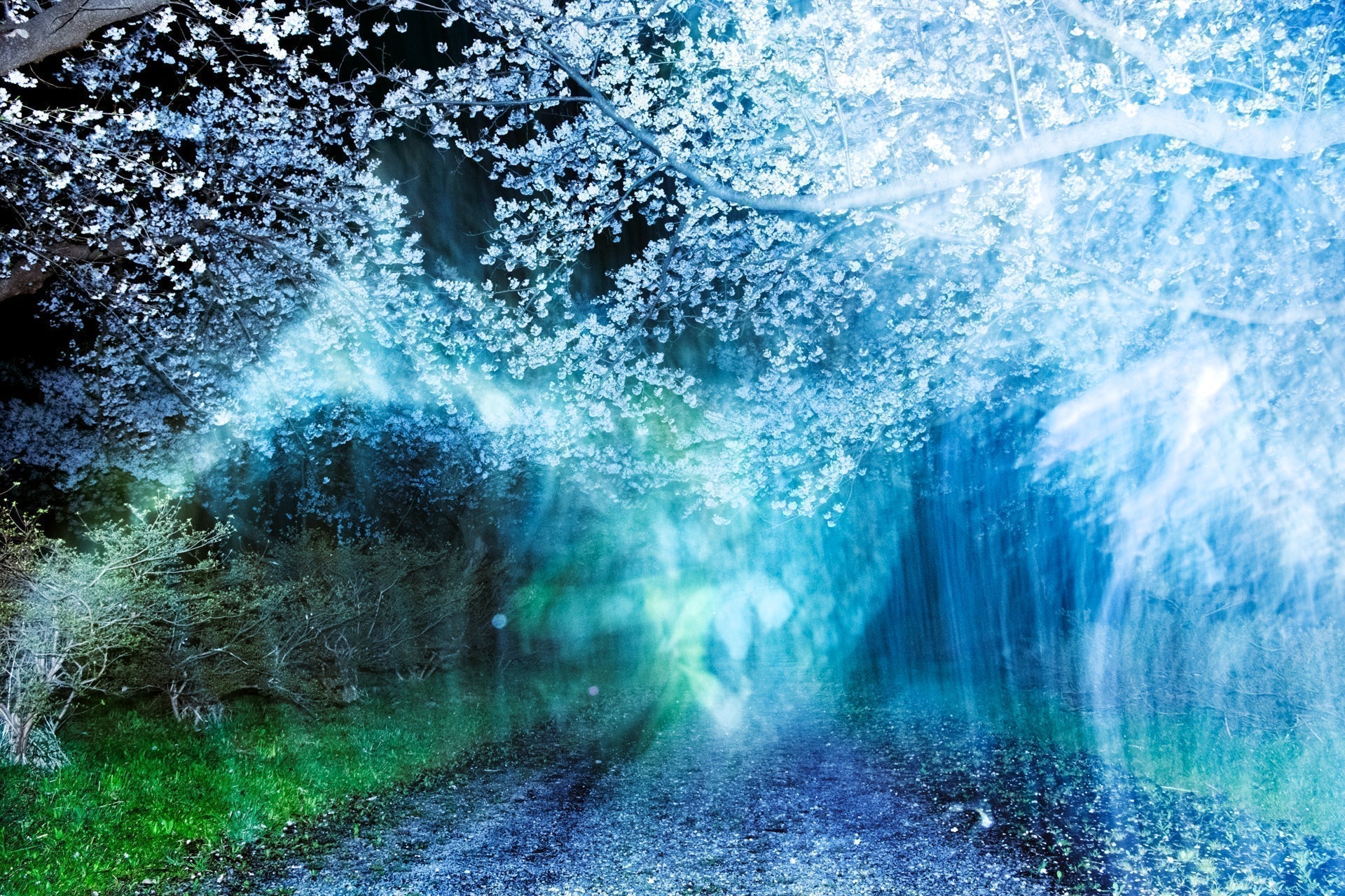 A New River — Ai Iwane