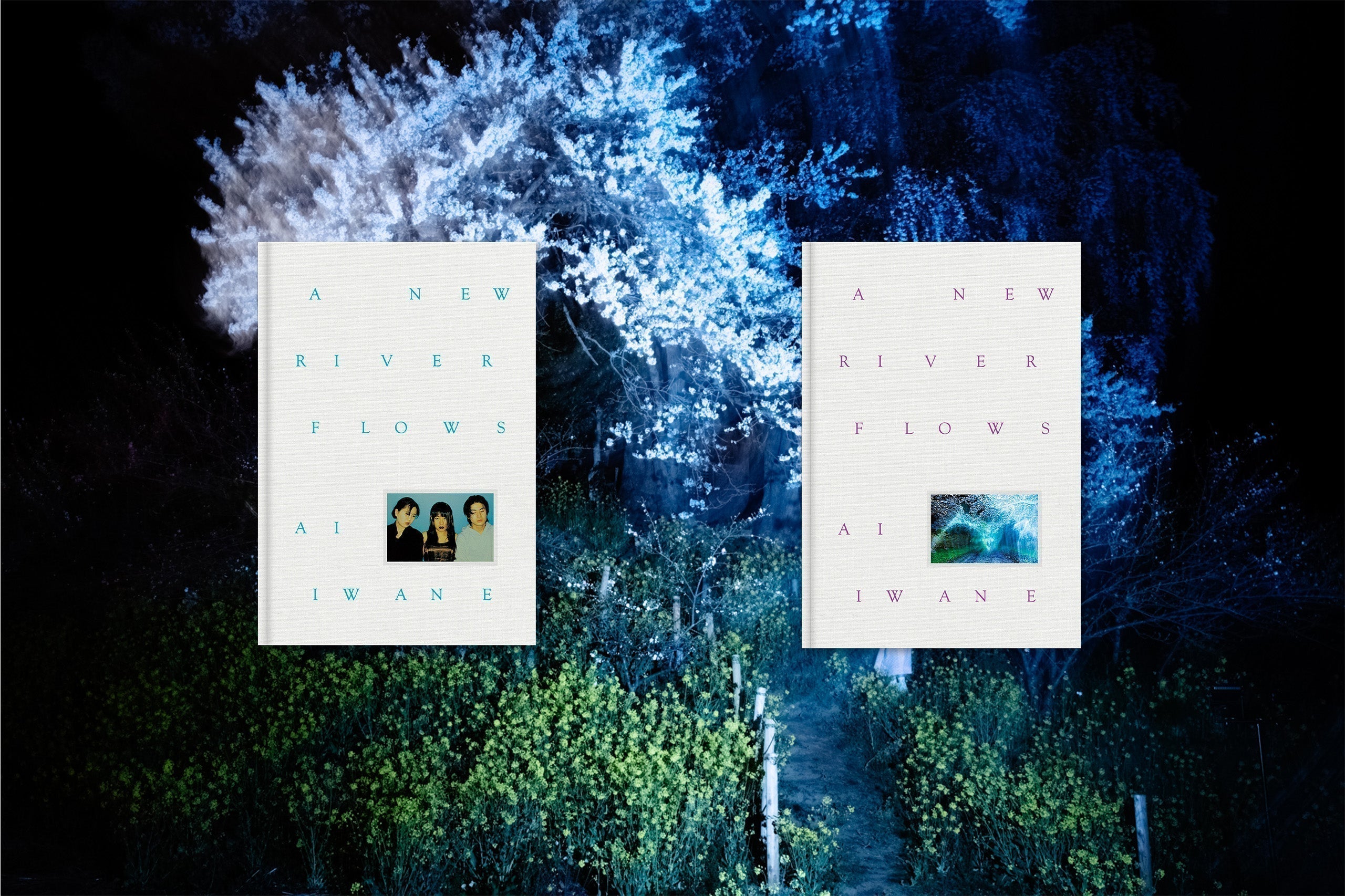 Ai Iwane | Lancement & Signature