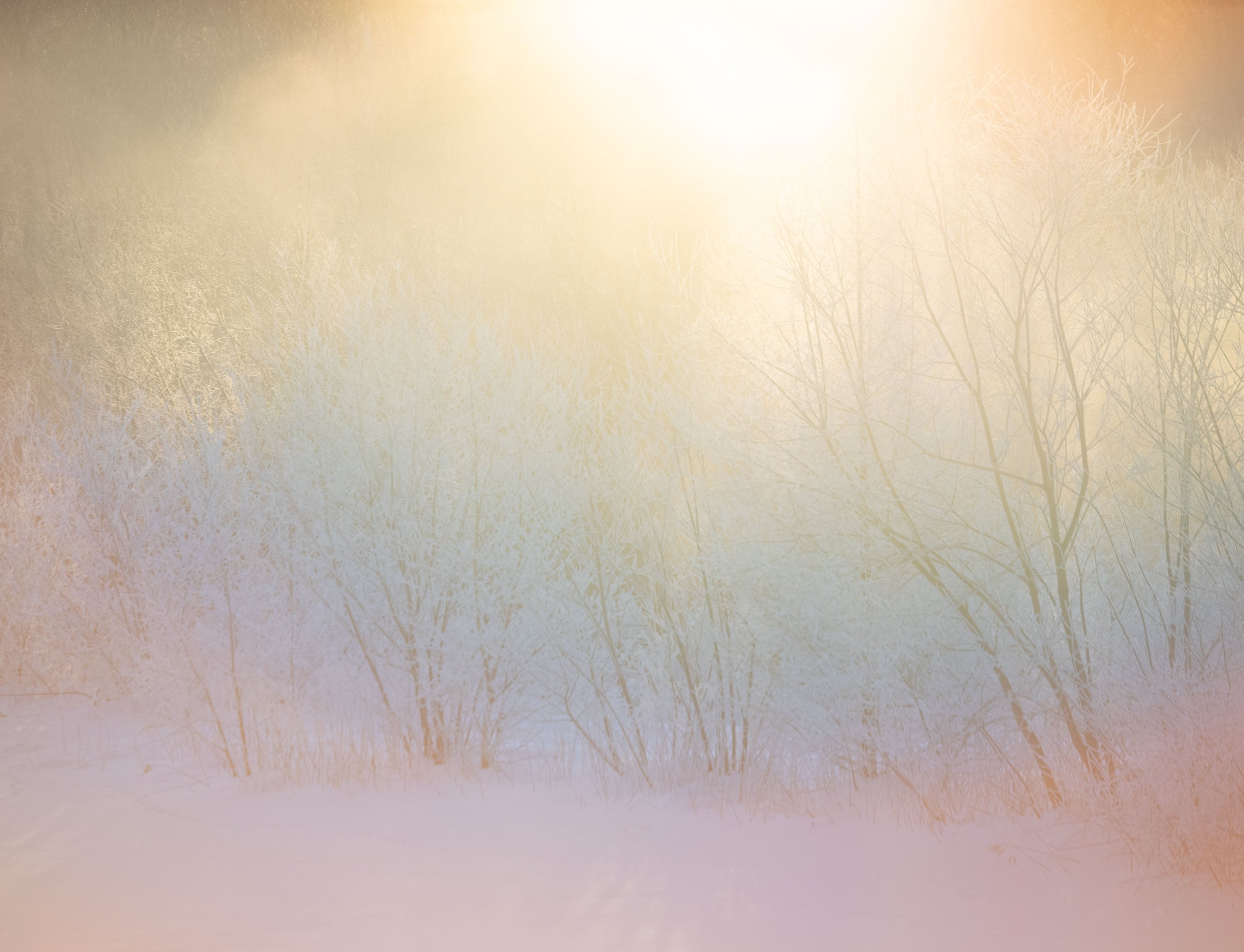Rencontre / Talk - Rinko Kawauchi