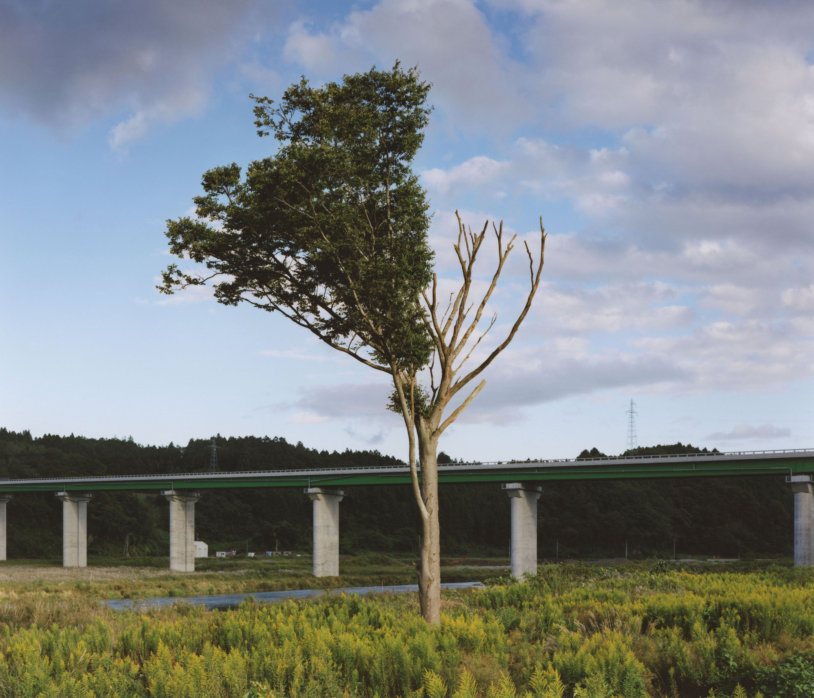 NAOYA HATAKEYAMA COLLECTION