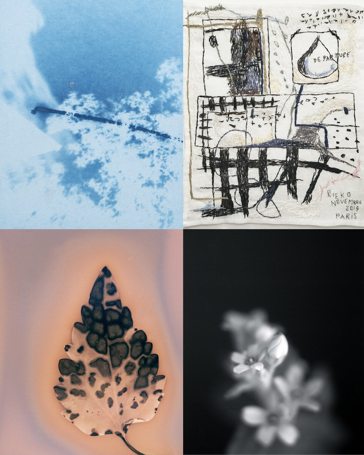 [COLLECTION LIVRES] AU TEMPS DES PLANTES