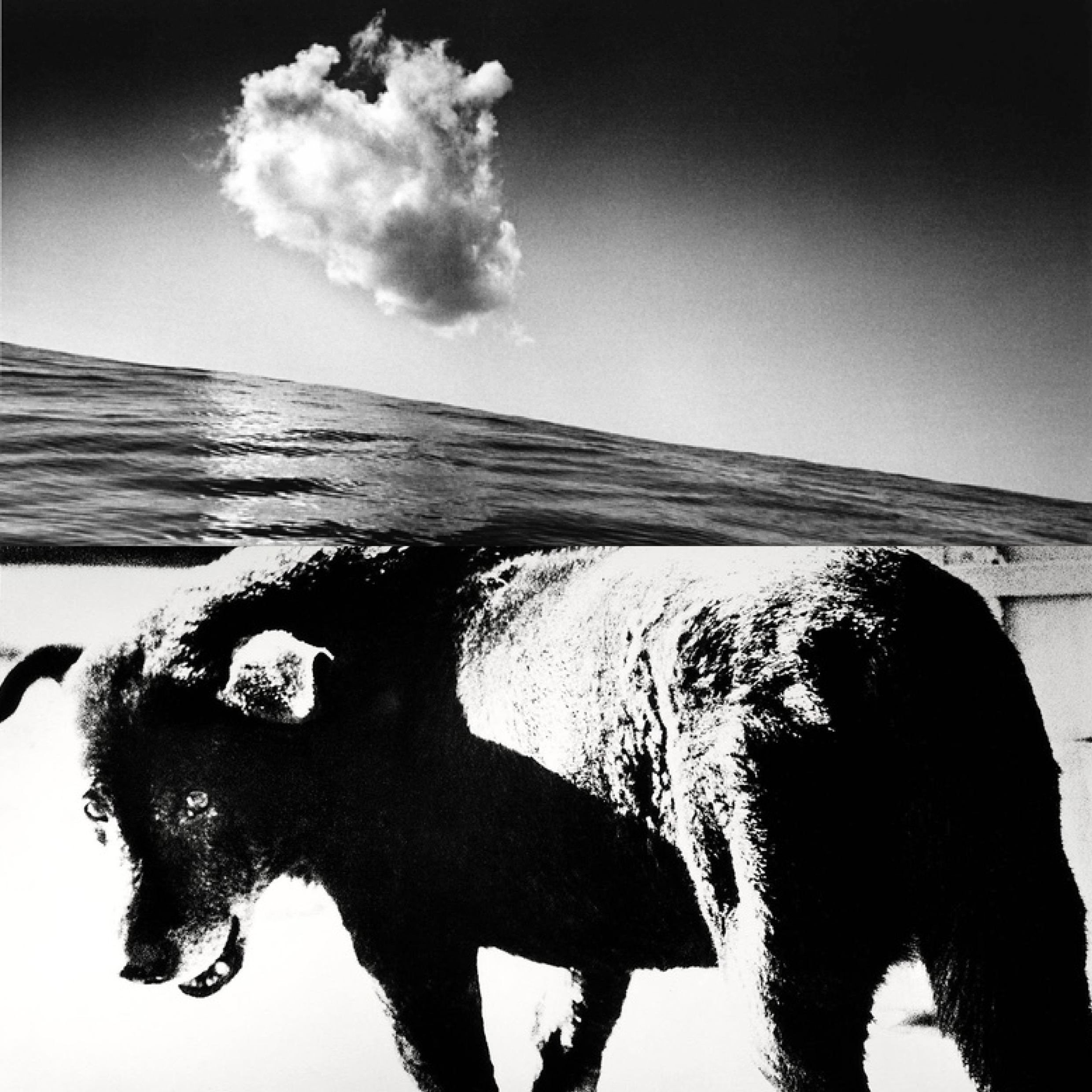Daido Moriyama / Shomei Tomatsu collection