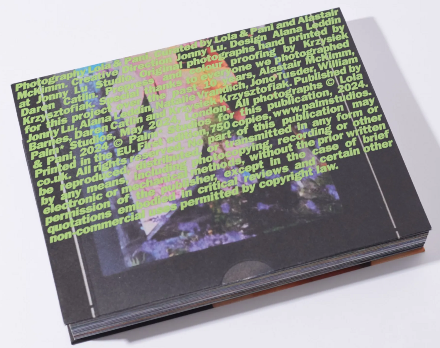Bumps (SIGNED)