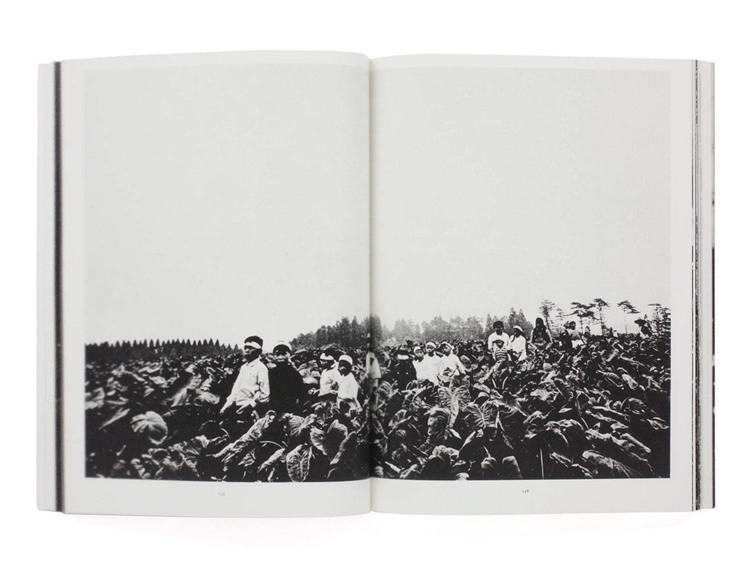 Sanrizuka 1969 -1971 (second edition, signed)