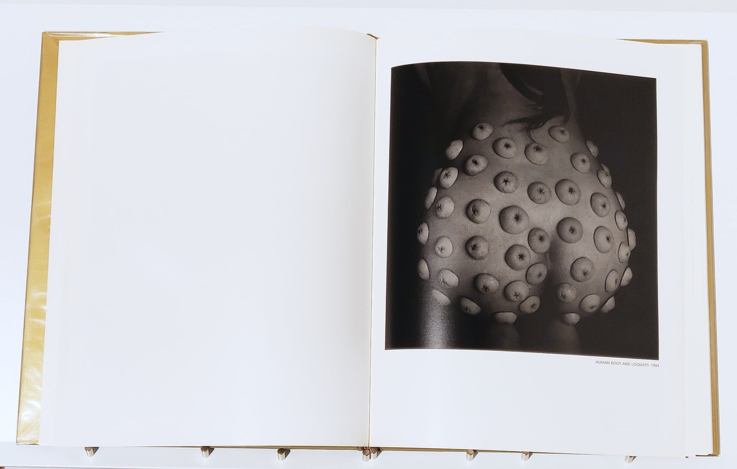 Michiko Kon : Still Lifes