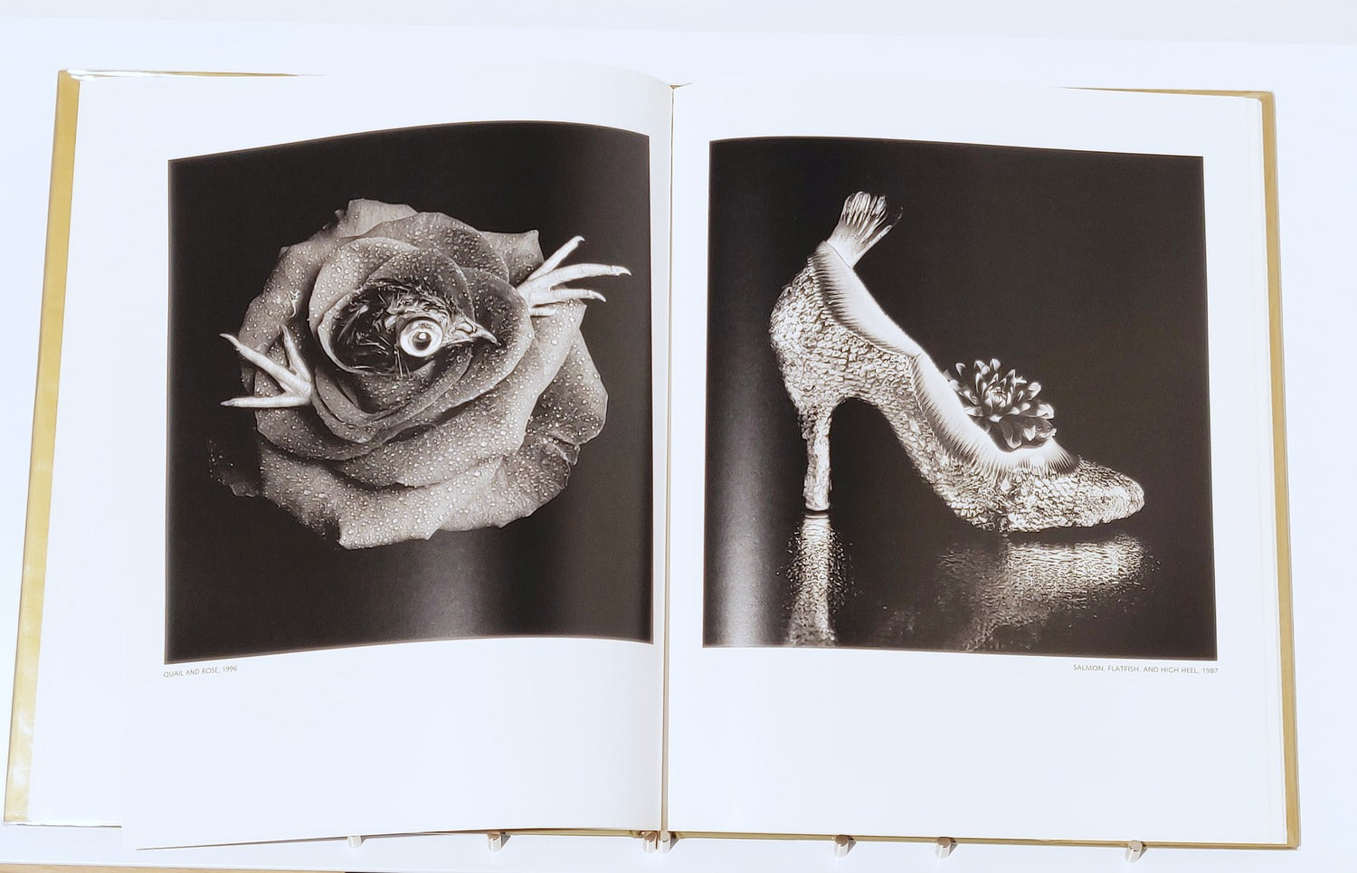 Michiko Kon : Still Lifes
