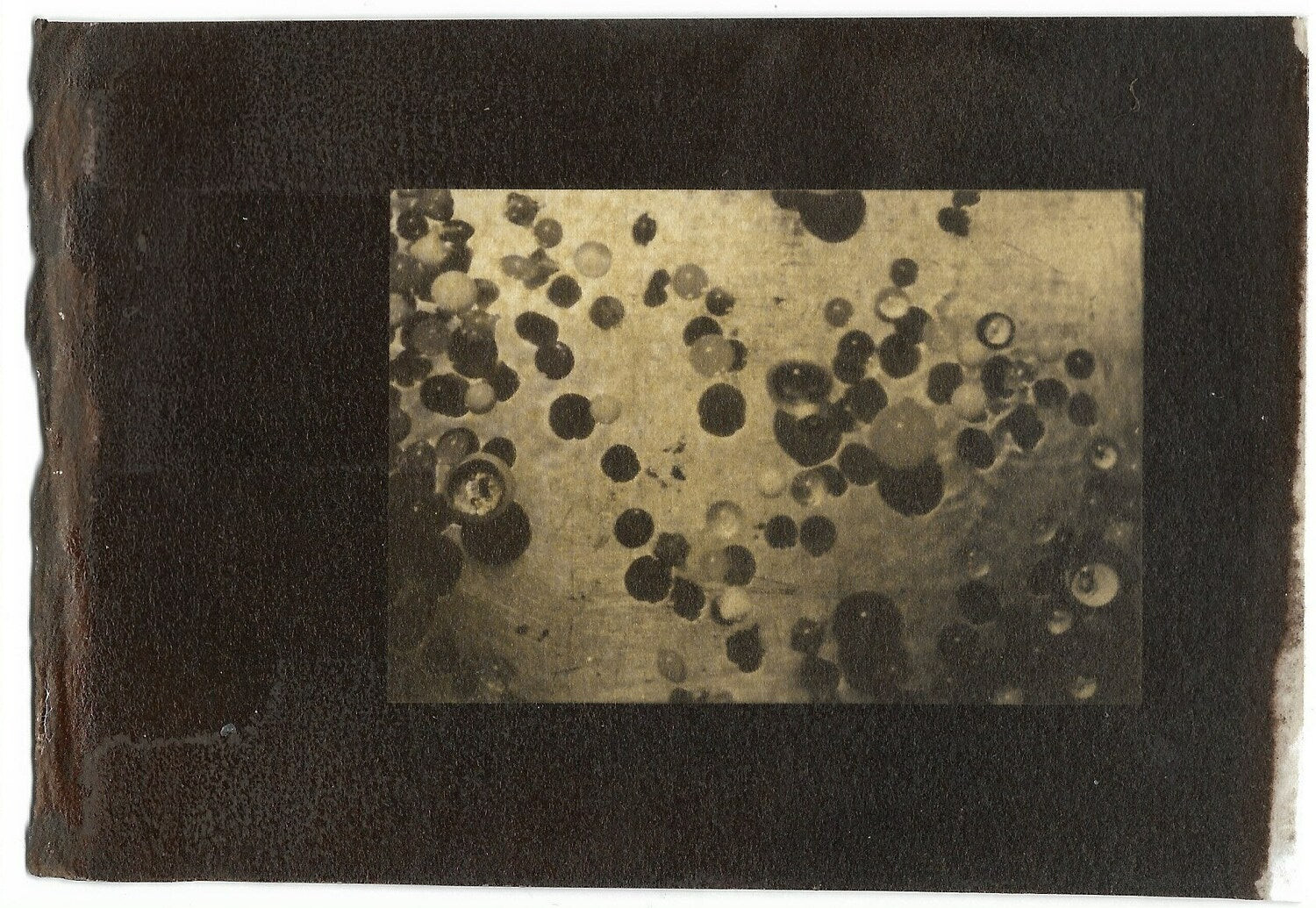 水と球体 Water and Spheres