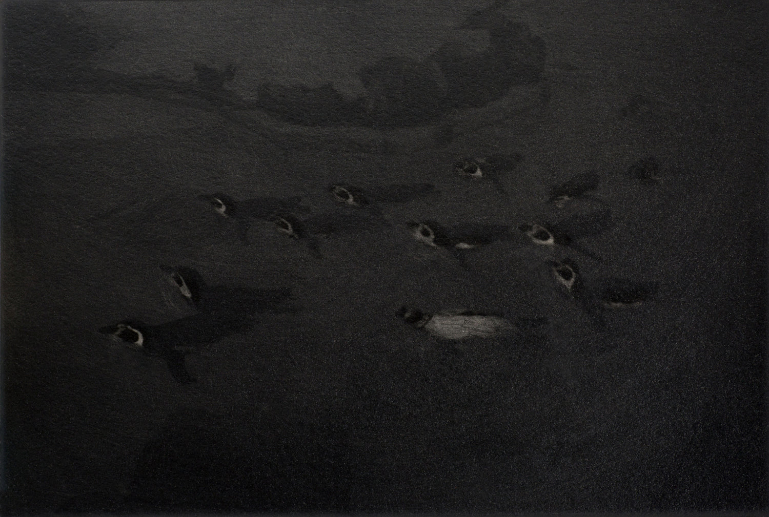 Fly penguins