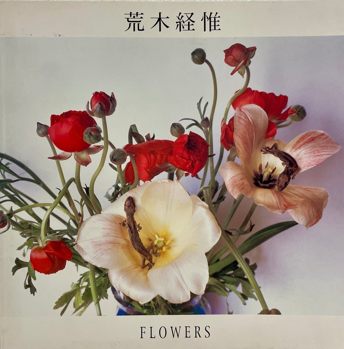 Flowers - Life and Death -