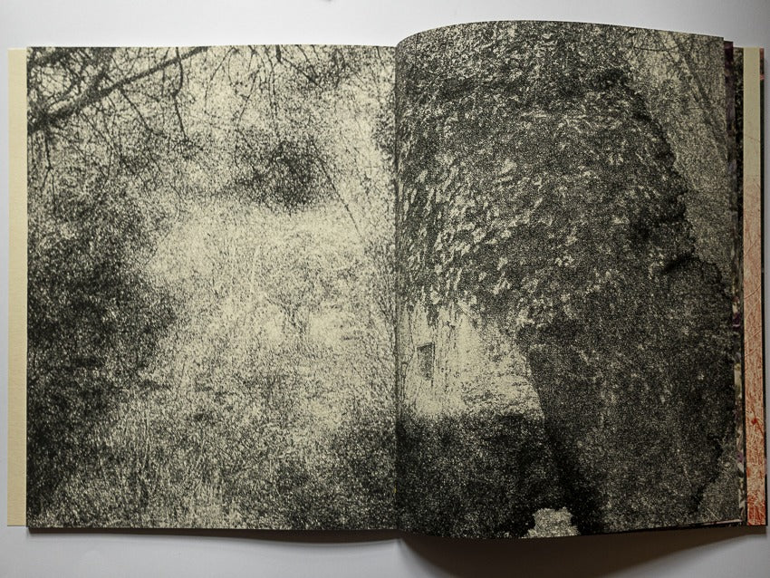 Clara Chichin & Sabatina Leccia - Le bruissement entre les murs (édition limitée)