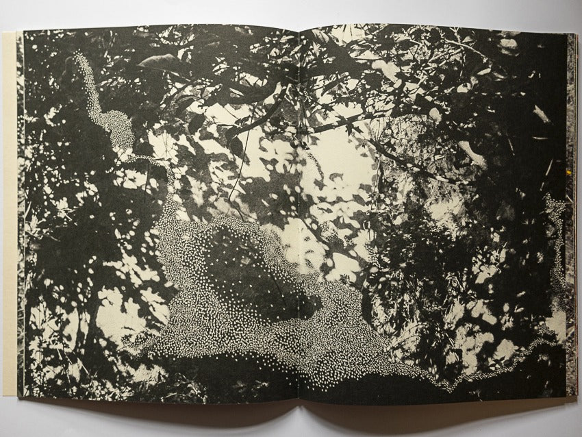 Clara Chichin & Sabatina Leccia - Le bruissement entre les murs (édition limitée)