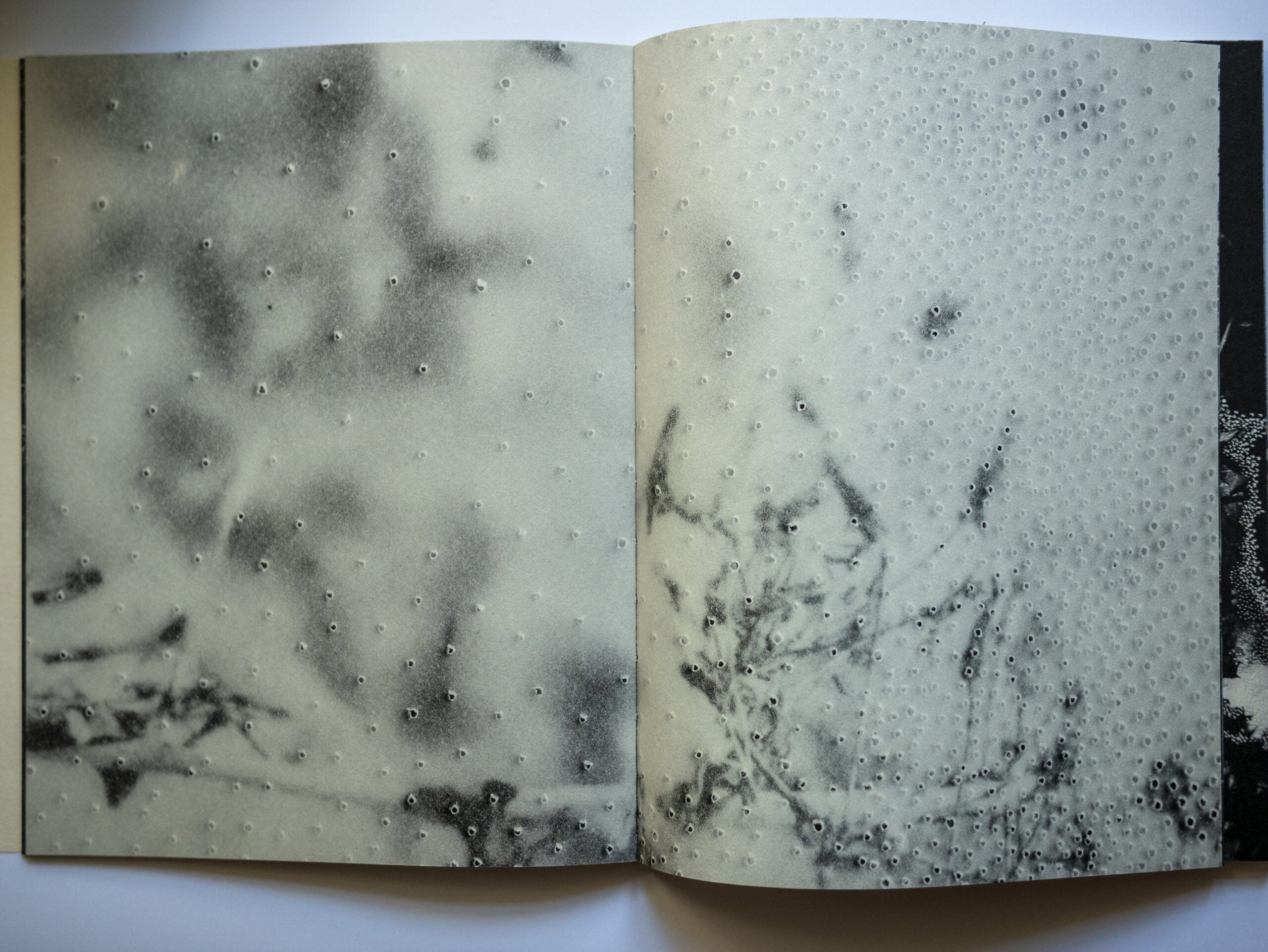 Clara Chichin & Sabatina Leccia - Le bruissement entre les murs (édition limitée)