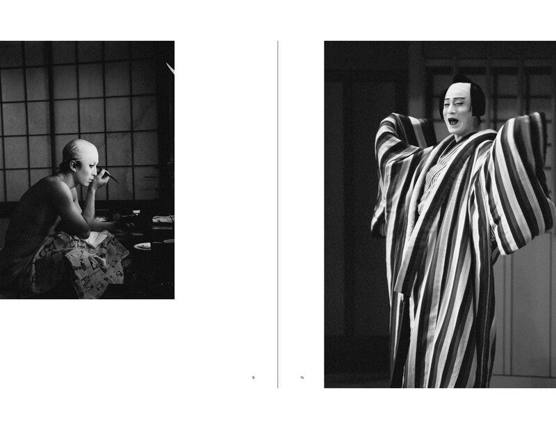 Sakiko Nomura - Tender is the Night