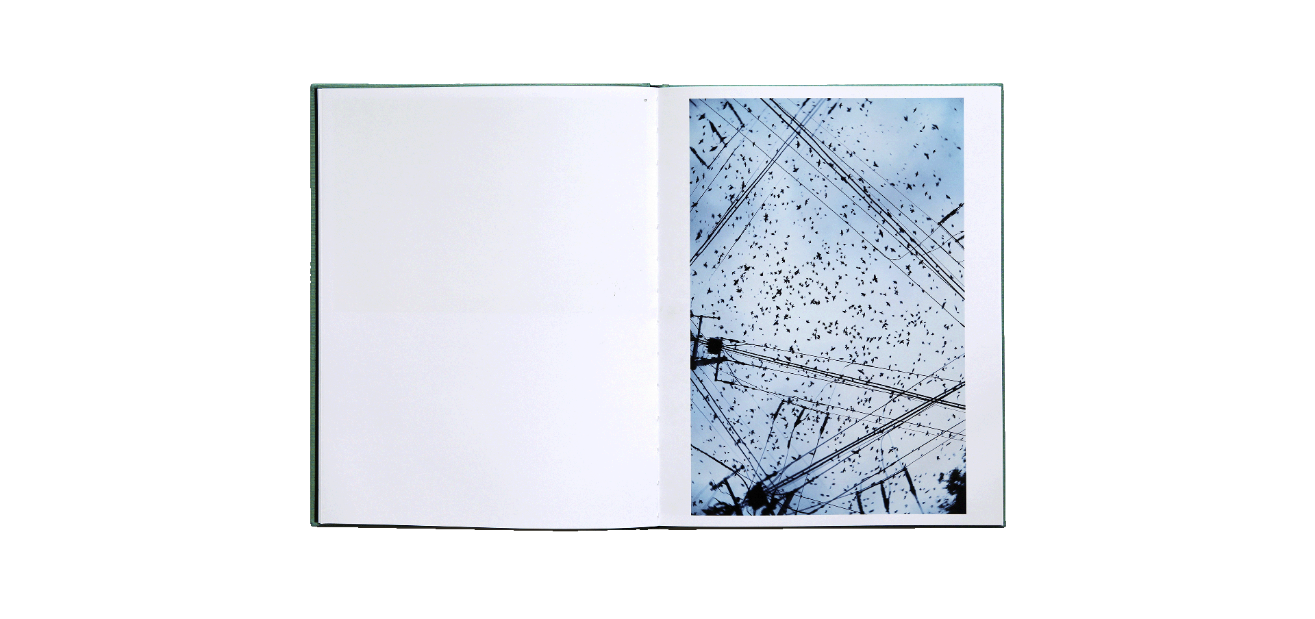 Yoshinori Mizutani - Des oiseaux (édition spéciale)