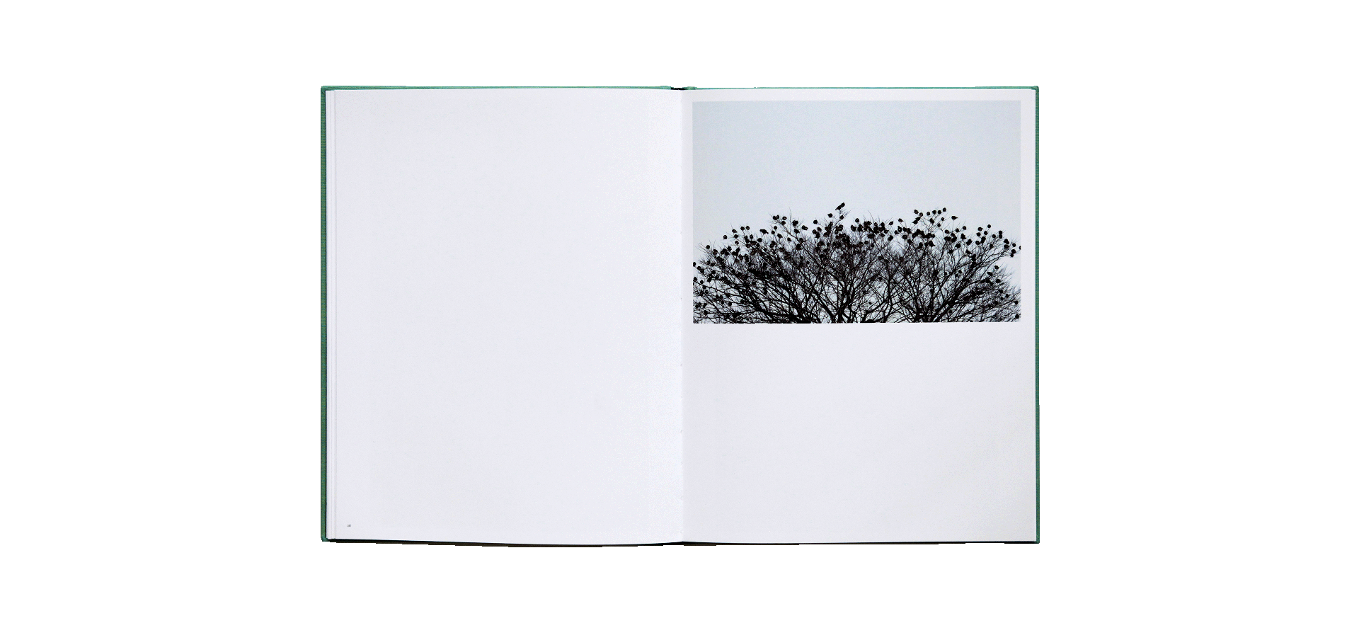 Yoshinori Mizutani - Des oiseaux (édition spéciale)