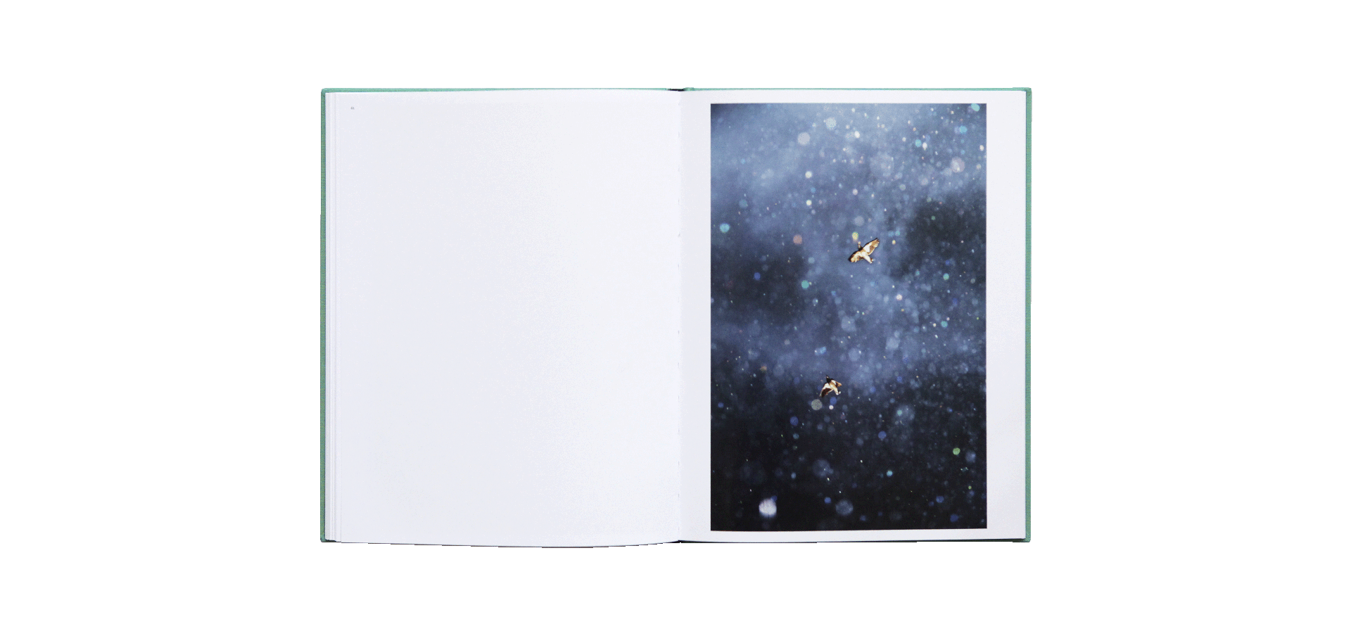 Yoshinori Mizutani - Des oiseaux (édition spéciale)