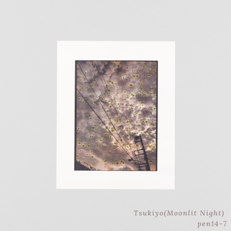 SAKIKO NOMURA - TRÄUMEREI (SPECIAL EDITION)