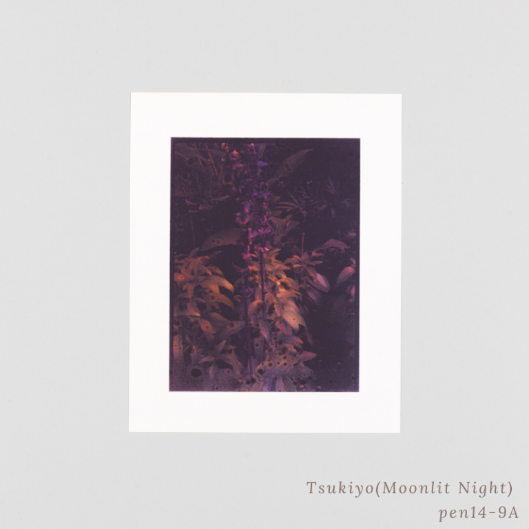 SAKIKO NOMURA - TRÄUMEREI (SPECIAL EDITION)