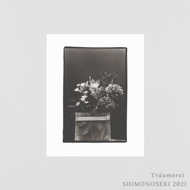 SAKIKO NOMURA - TRÄUMEREI (SPECIAL EDITION)