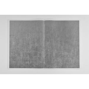 RENATO D'AGOSTIN - HARMONY OF CHAOS (SIGNED)