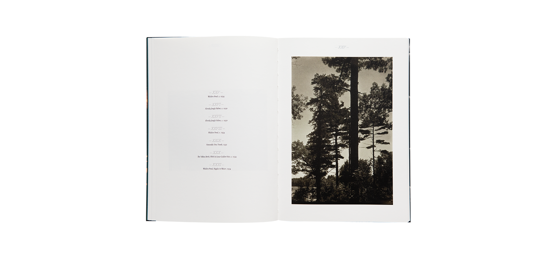 Edward Steichen - La nature en scène