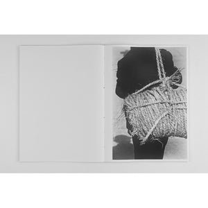 RENATO D'AGOSTIN - HARMONY OF CHAOS (SIGNED)