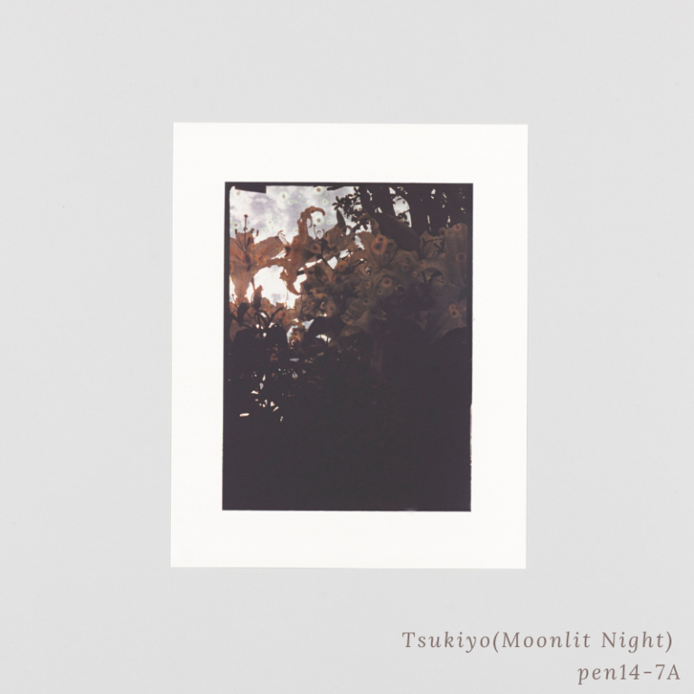 SAKIKO NOMURA - TRÄUMEREI (SPECIAL EDITION)