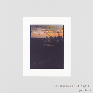 SAKIKO NOMURA - TRÄUMEREI (SPECIAL EDITION)