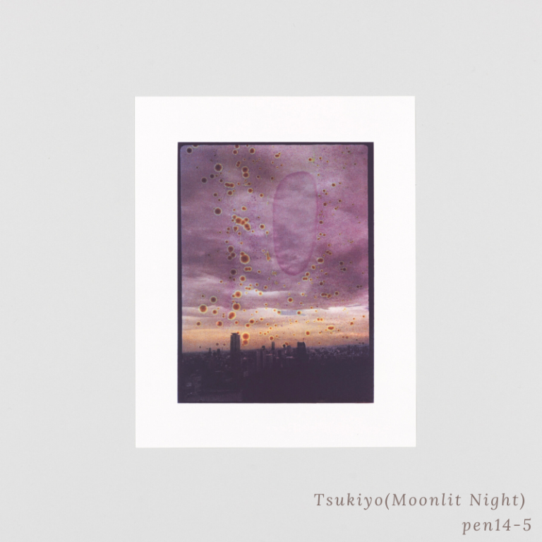 SAKIKO NOMURA - TRÄUMEREI (SPECIAL EDITION)