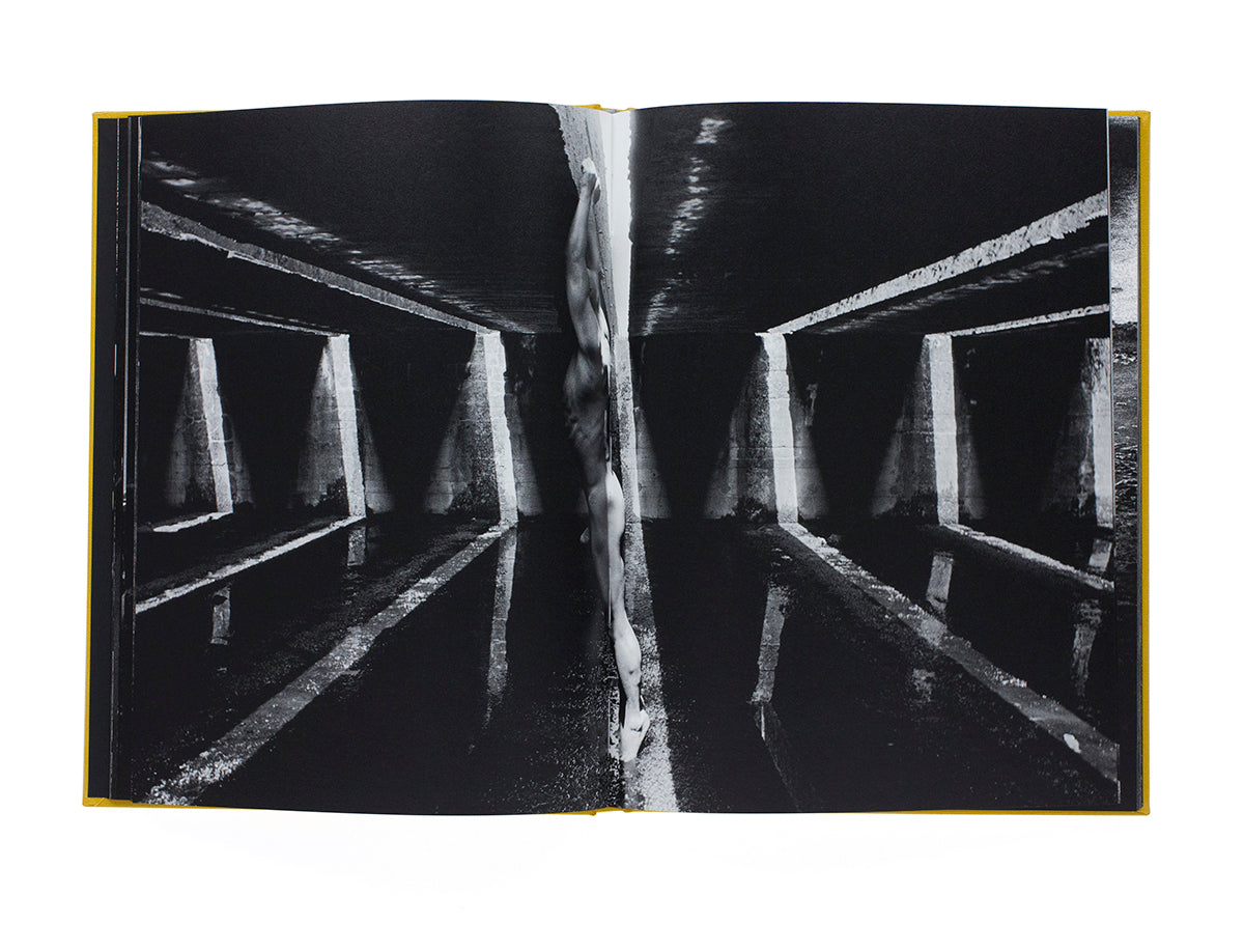 Keiichi Tahara - Photosynthesis