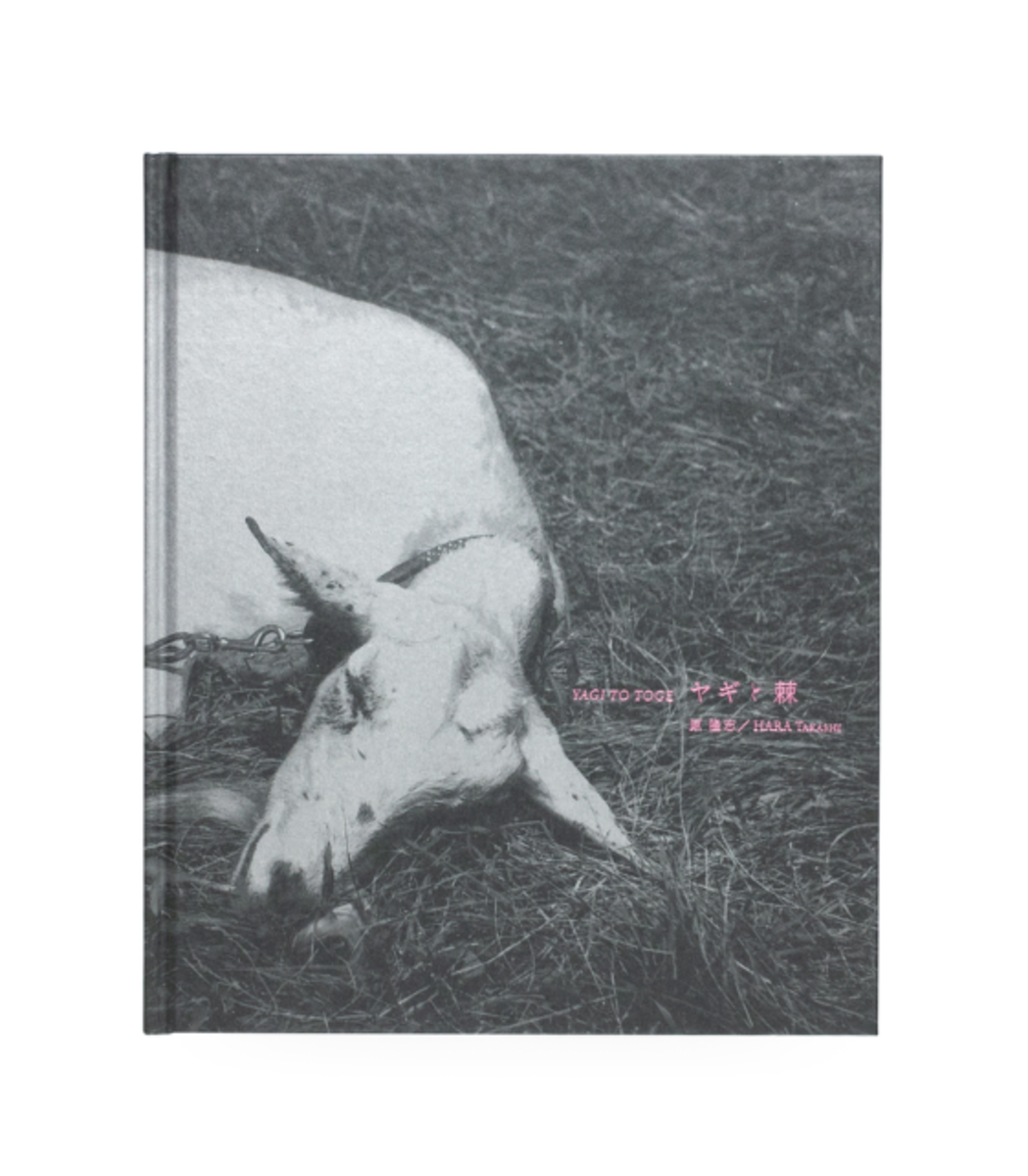 Yagi to toge (Goat and Thorns) SIGNED