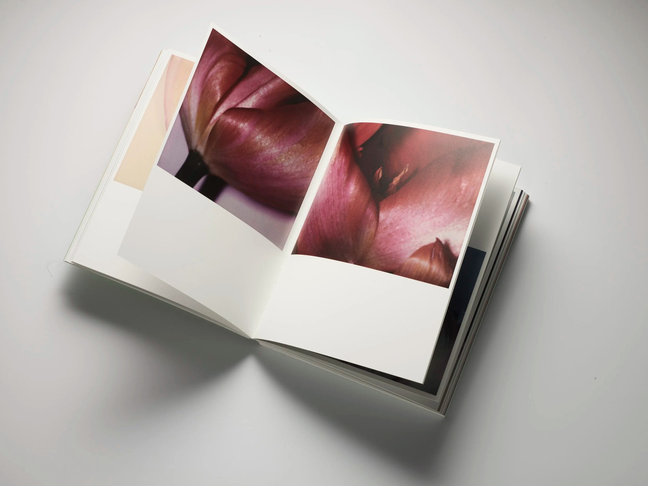 Inès Dieleman - Polaroids