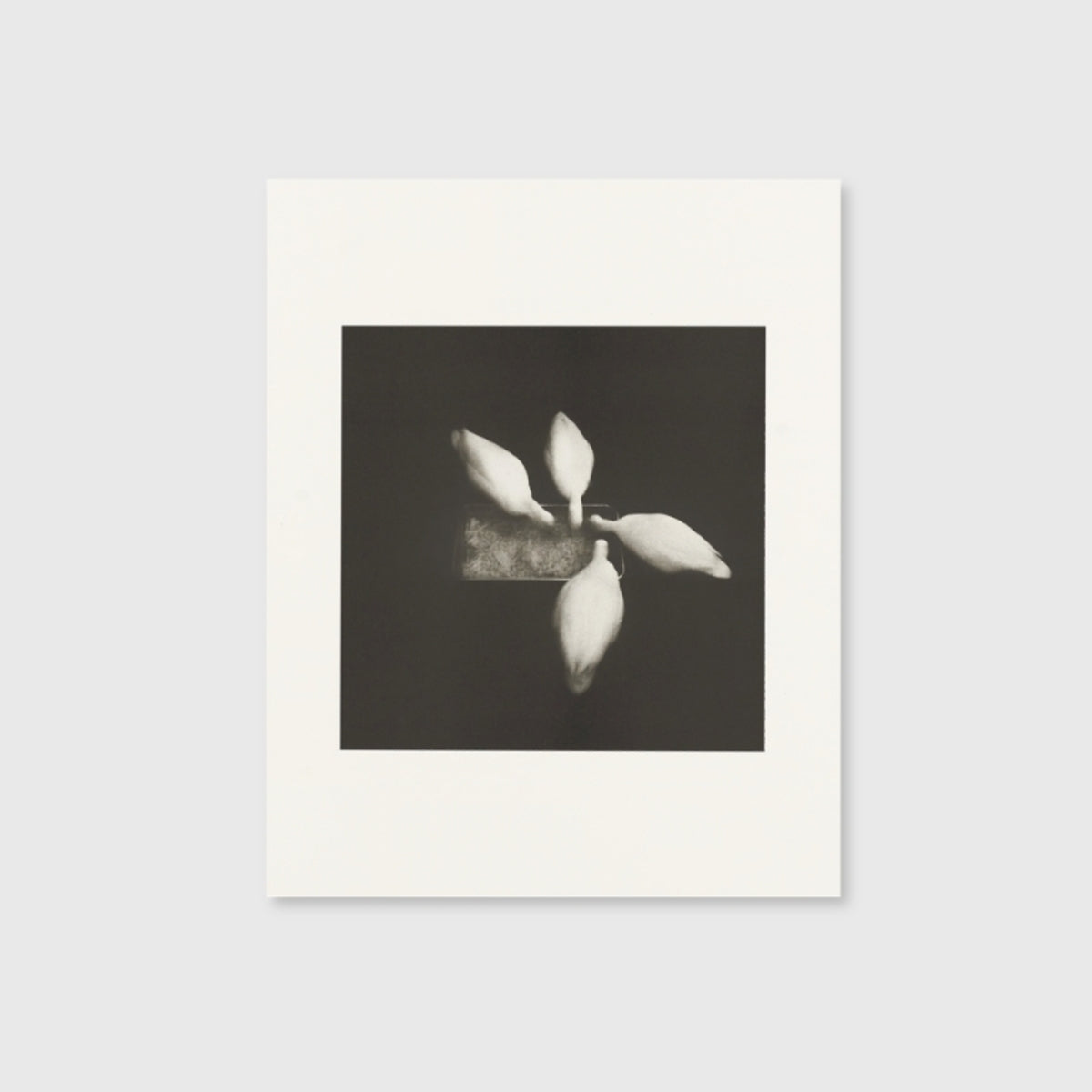 Selected Works