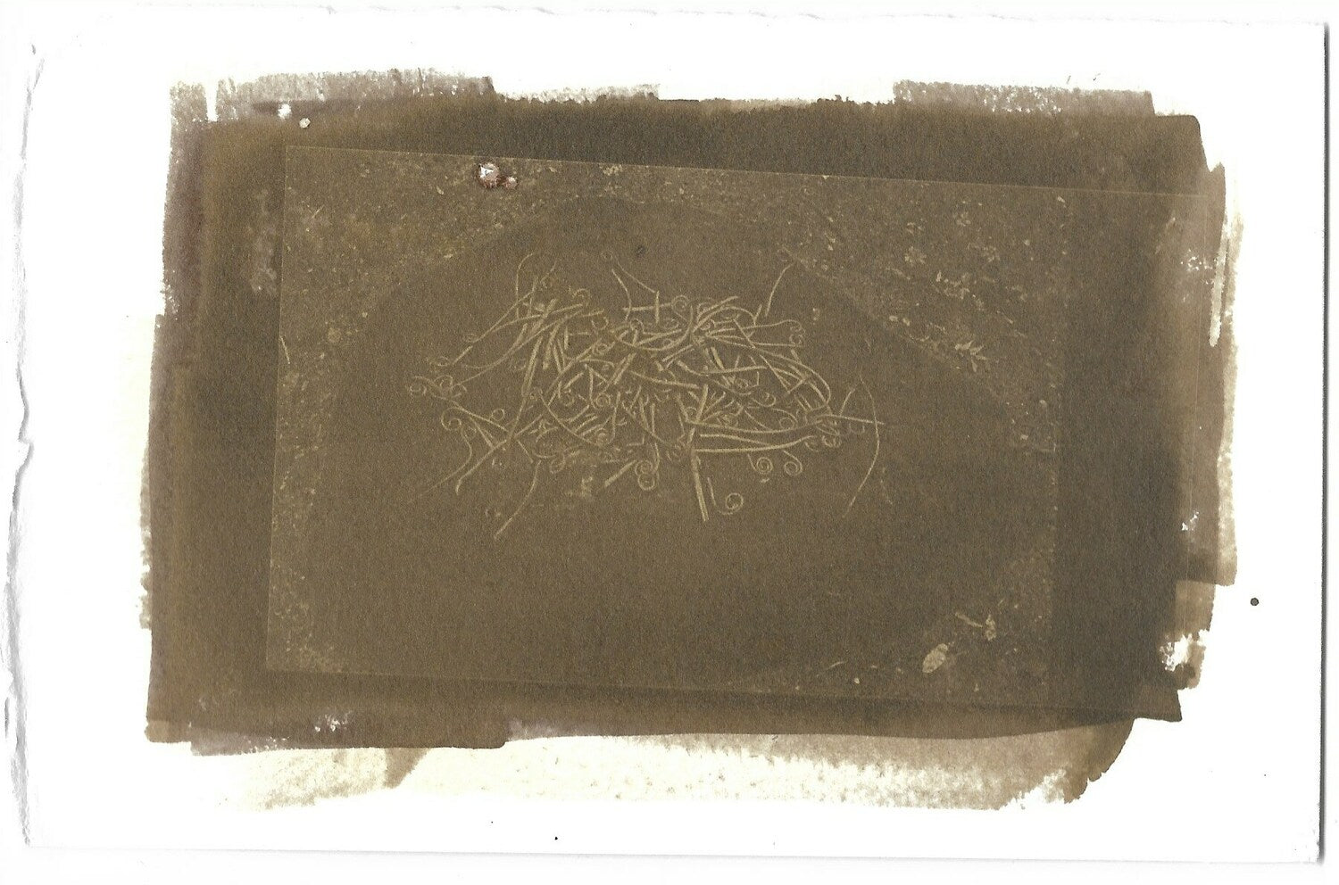 石とゼンマイ stone and spring(royal fern)