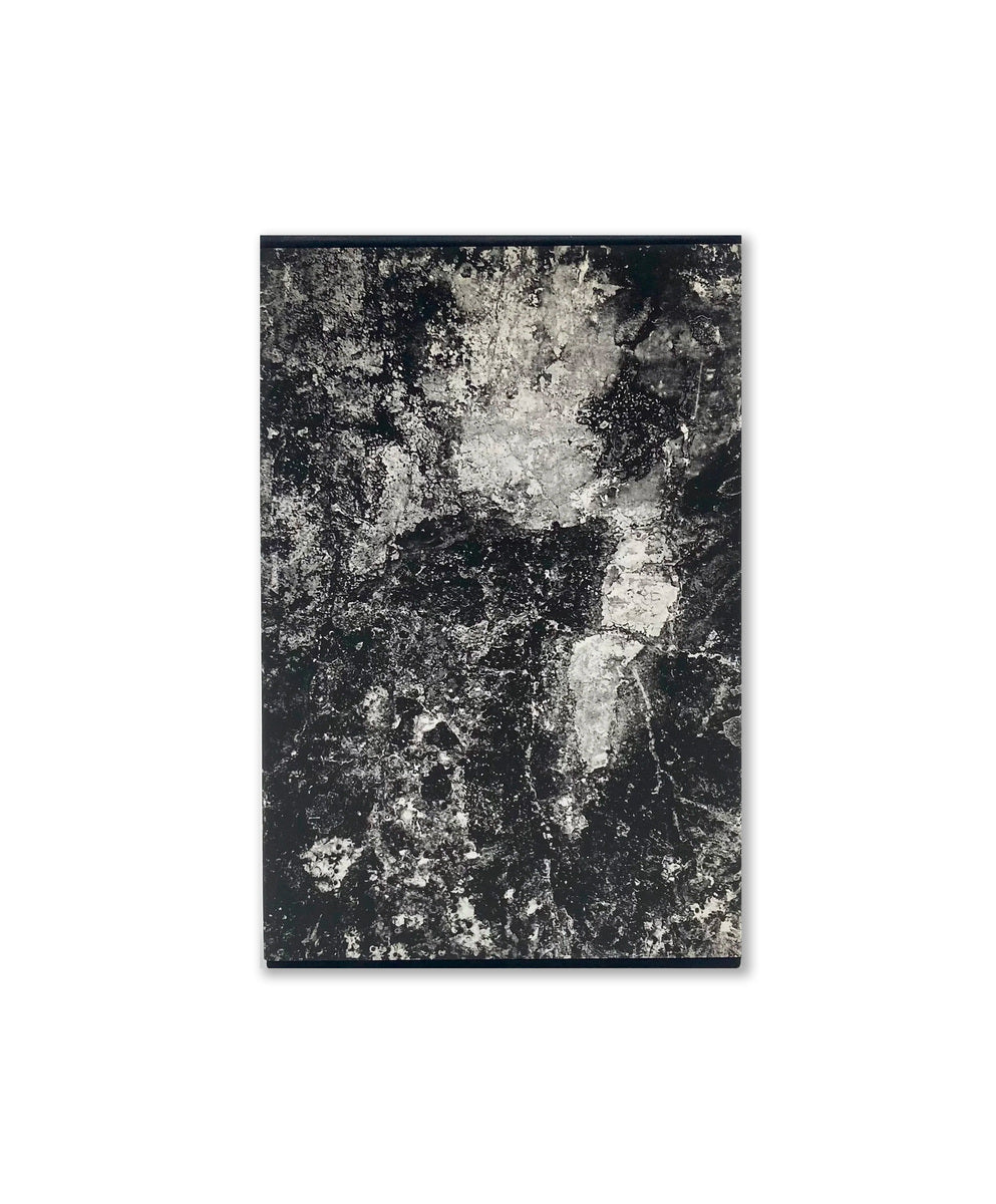 Chizu (The Map) - 955/1000 Limited Edition