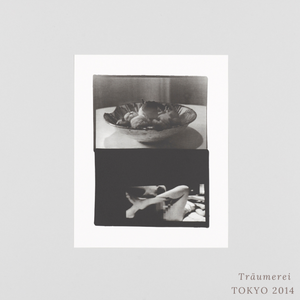 SAKIKO NOMURA - TRÄUMEREI (SPECIAL EDITION)