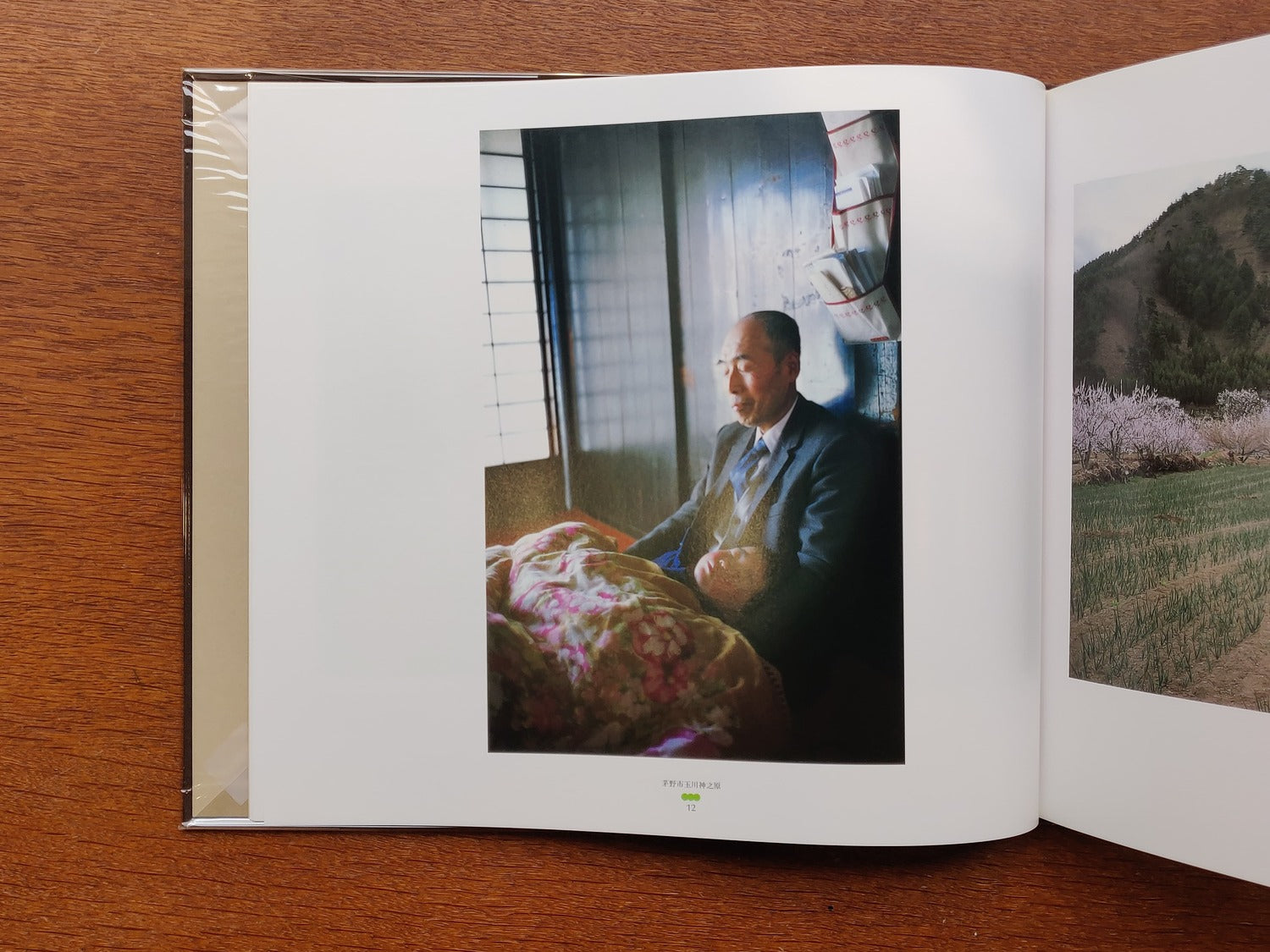 Shinano-Yugyo (signed)