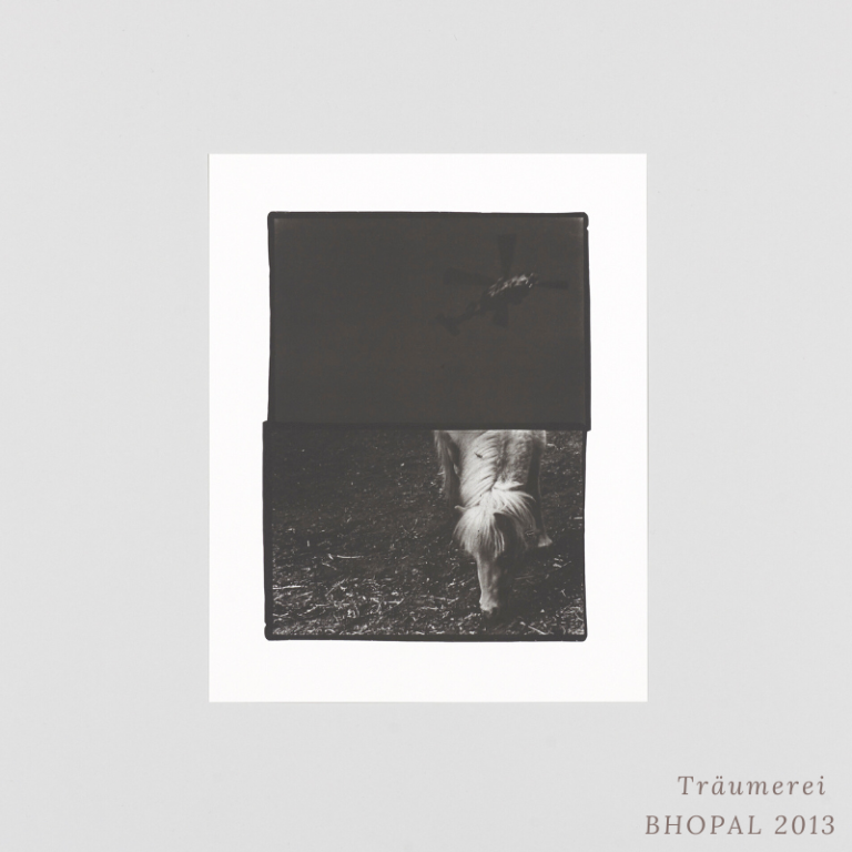 SAKIKO NOMURA - TRÄUMEREI (SPECIAL EDITION)