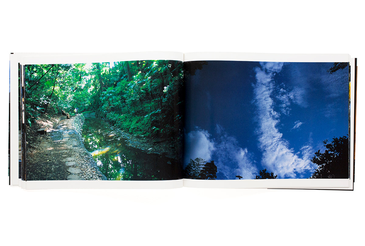Nobuyoshi Araki - Insert in Summer