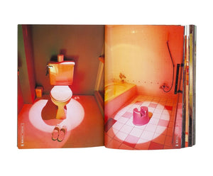 Kyoichi Tsuzuki - Love Hotels