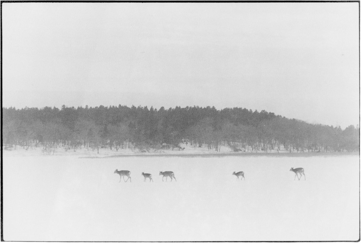 Lake Furen, Nemuro