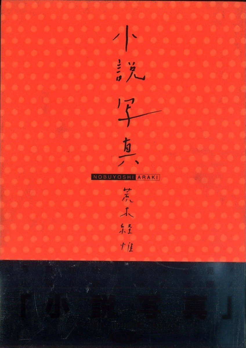 Shosetsu Shashin (Novel Photography)