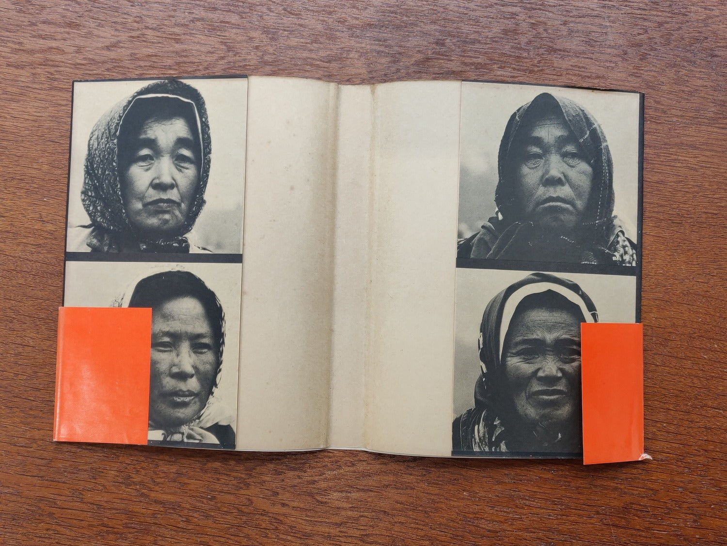 Sanrizuka - Moeru Hokuso daichi / Document 1966-1971