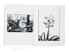 Charger l&#39;image dans la galerie, Chieko Shiraishi - Saboten to Shippo (Cactus and Tail)
