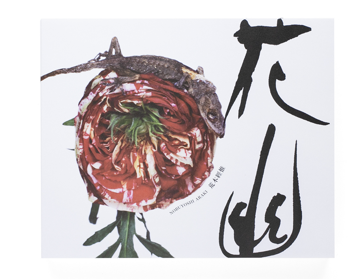 Kayu (Flower Ghost)