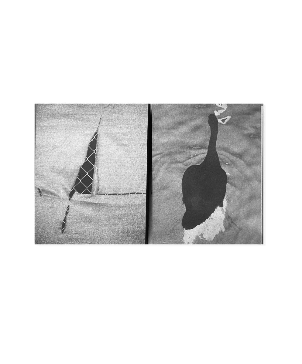SAYURI ICHIDA - ABSENTEE (SIGNED)
