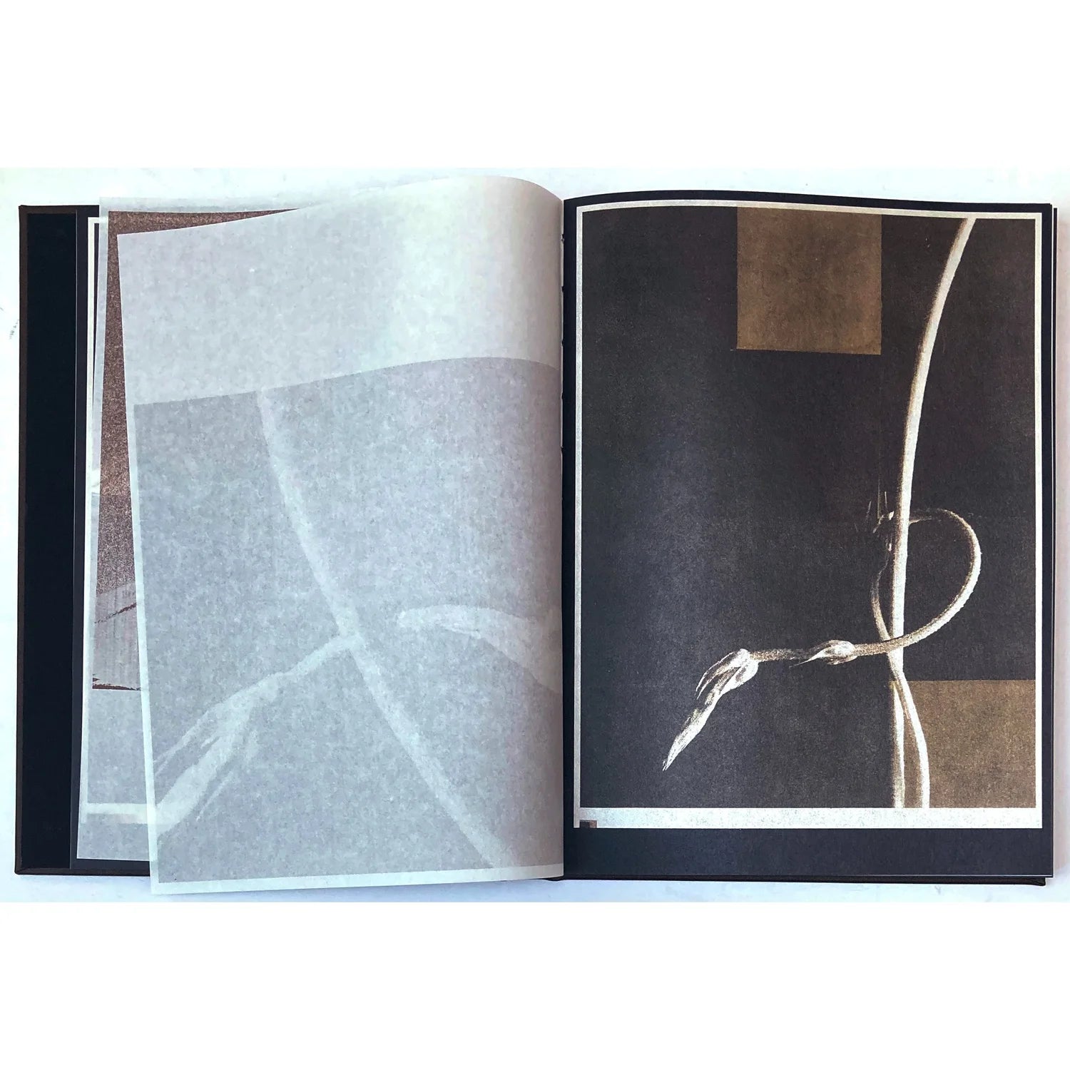 Norio Takasugi - As the twig is bent, so is the tree
