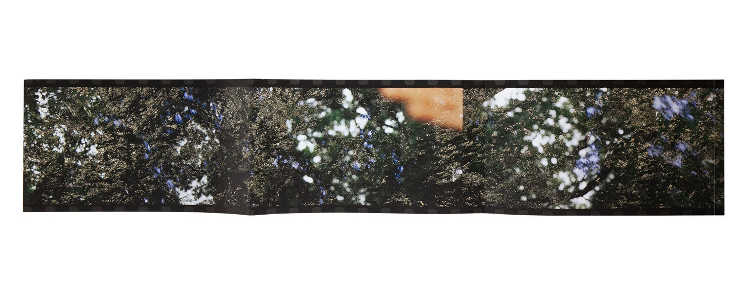 New Photographic Objects