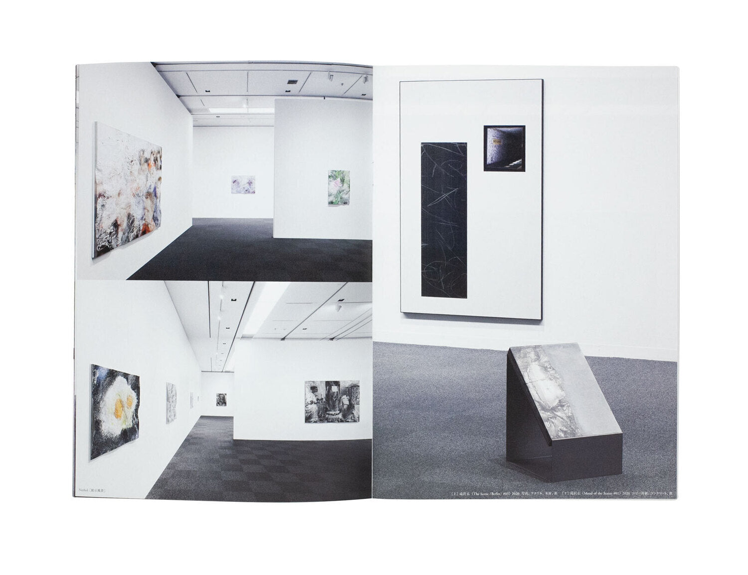 New Photographic Objects